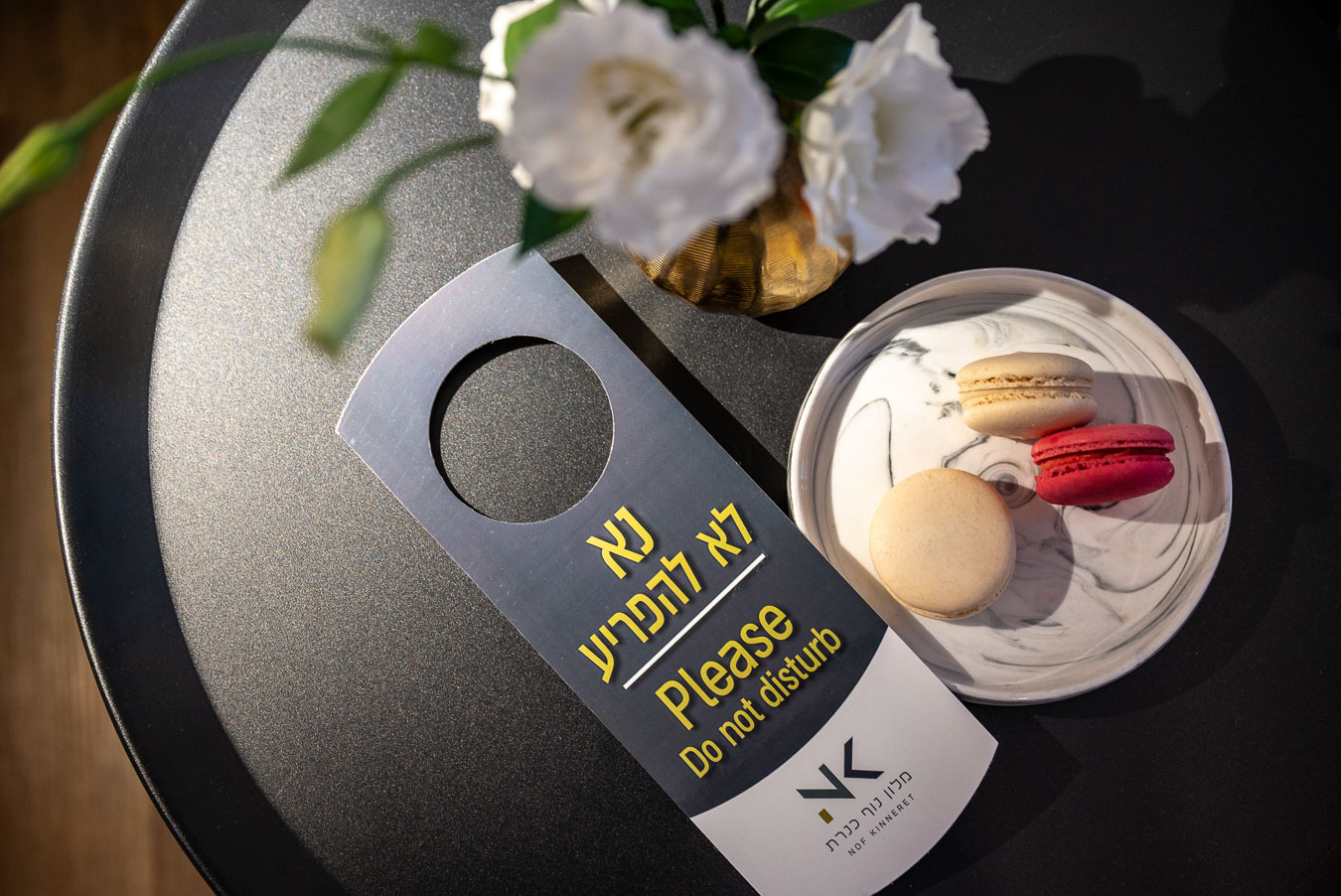 מלון נוף כנרת