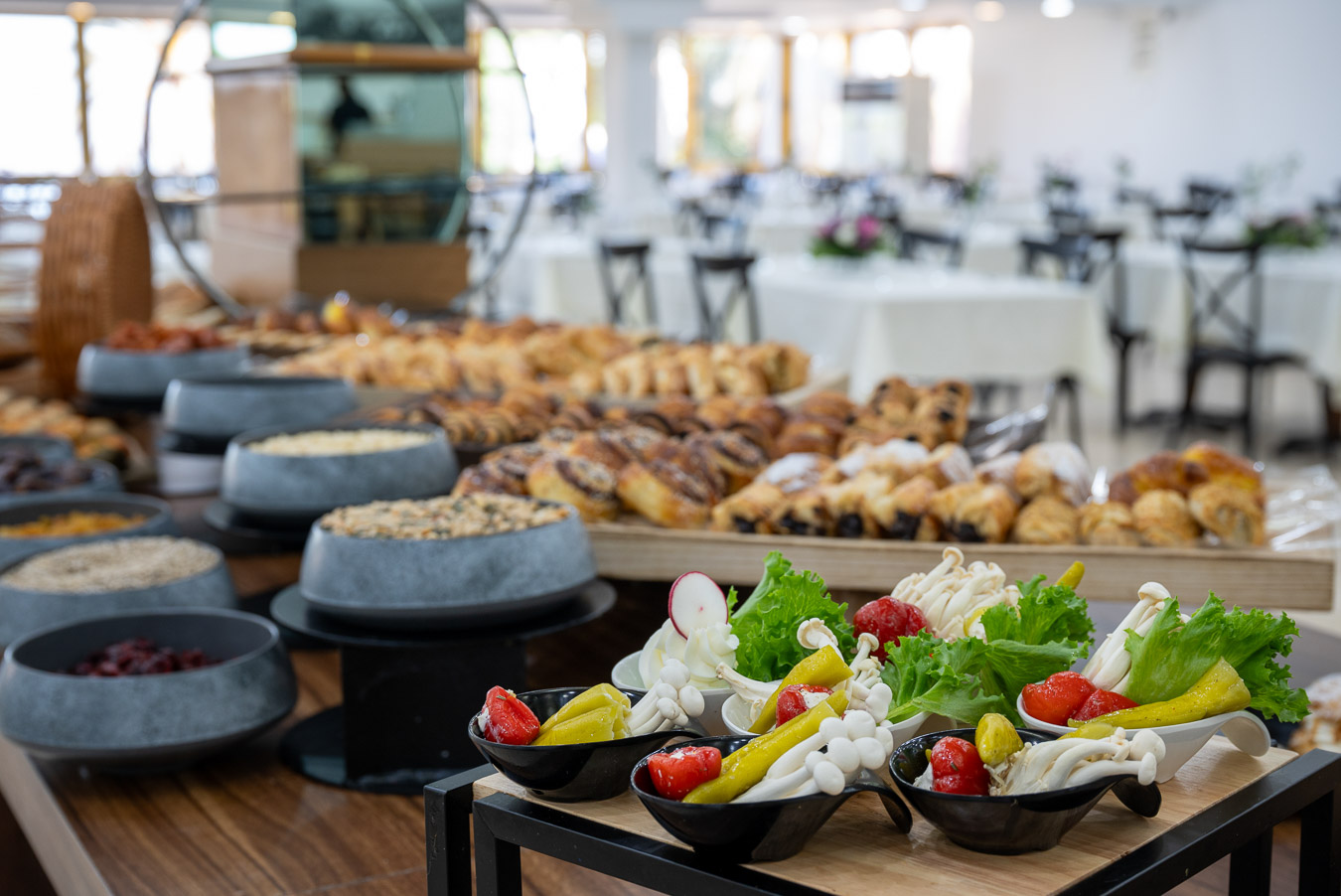 מלון נוף כנרת