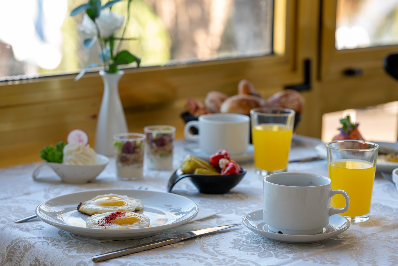 מלון נוף כנרת